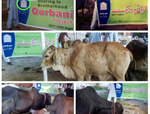 Untitled design (40)